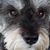 Betty Gatlin's profile image
