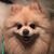 Roxana Grimes Sneeringer's profile image