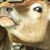 Frances Cleary's profile image