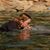 Lisa M. Cross's profile image
