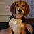 Sherry Lyons Stone's profile image