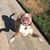 Angee Dyer Corso's profile image