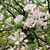 Kathryn Bitzer's profile image