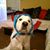 Kevin Aderholt's profile image
