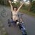 Lois Schmidt Bailey's profile image