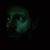 Brian D. Neug's profile image