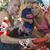 Cheryl Fust Siplin Viehweger's profile image