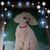 Annamarie Gunter's profile image