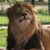 Brian Downs's profile image