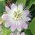 Donna J. Albee's profile image