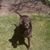Cathy Estes Wilson's profile image