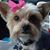 Irene Jonker's profile image