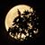 Carol Meggitt's profile image