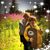 Carol Kneisley's profile image