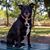 Laurette Lori Gaberman's profile image