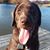 Jennifer Channell's profile image