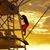 Tracy Rose Shaw's profile image