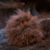 Jorge Diaz H.'s profile image