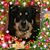 JoAnne Edmondson's profile image