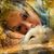 Lek Mayhew's profile image