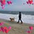 Lisa Lake's profile image