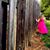 Melissa McKinley Carver's profile image