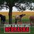 Christi Kapels's profile image