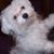 Robin Stover's profile image
