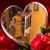 Maureen Taylor's profile image