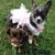 Lisa Colas's profile image