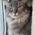 Martie Jumel's profile image