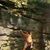 Debi Houck's profile image