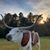 Mason Cooper's profile image
