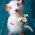 Julienne Cwidak's profile image