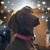 Cherie Bickel's profile image