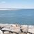 Tina M Stoughton's profile image
