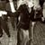 Antonina Durfee's profile image