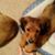 Julia Orvis's profile image