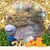 Nancy DiMarino's profile image