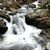 Linda Huffman's profile image