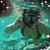 Lisa Patrone - Perrone's profile image