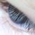 Anita Lebow D'Antonio's profile image