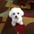 Layne Baisden's profile image