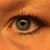 Kristi Harmon's profile image