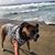 Tom Wroblewski's profile image