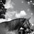 Sandie Dutton Halbruner's profile image