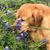 Nancy Washwell's profile image