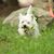 Jane Leitch's profile image