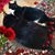 Beth Smith's profile image