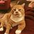Pamela Jean's profile image